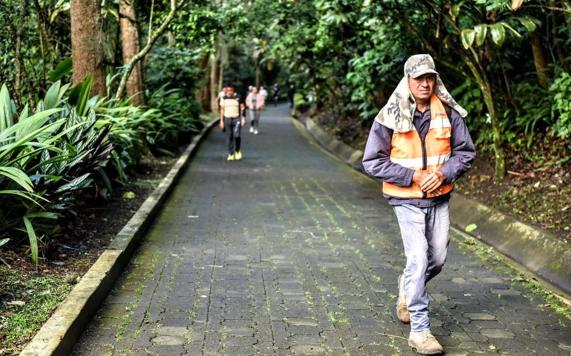 ¡El pulmón de Xalapa! La historia del Parque ecológico de Macuiltépetl